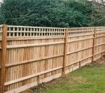 Fencing Panels & Trellis